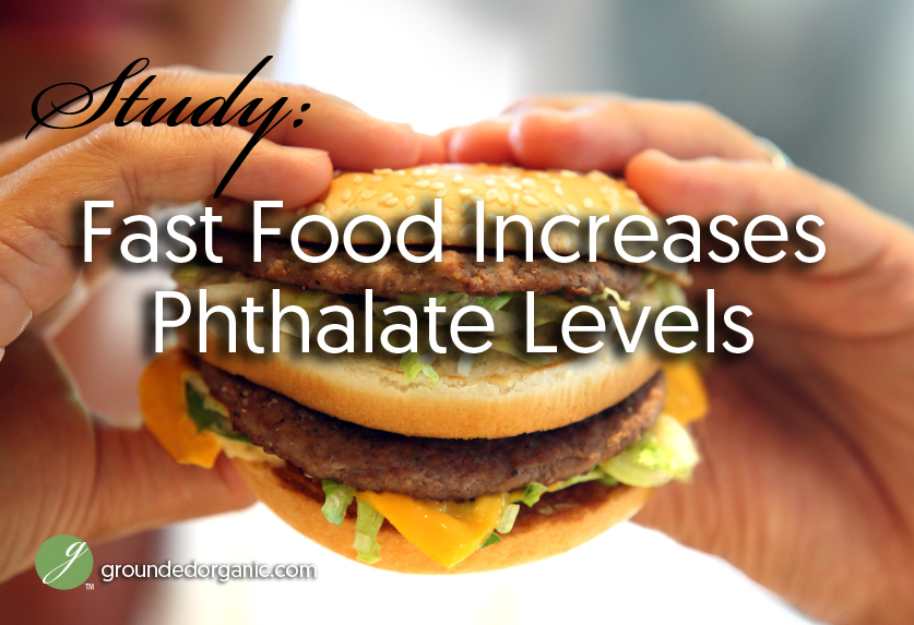 Study Fast Food Increases Phthalate Levels Grounded Organic study-fast-food-increases-phthalate-levels-grounded-organic