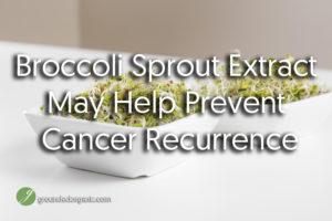 Broccoli Sprout Extract May Help Prevent Cancer Recurrence