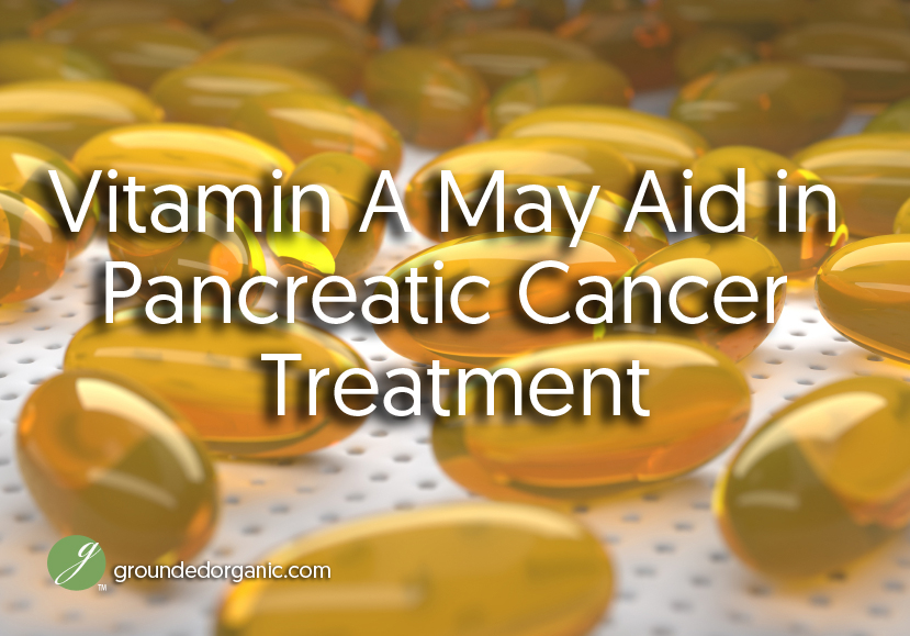 Vitamin A May Aid in Pancreatic Cancer Treatment Grounded Organic